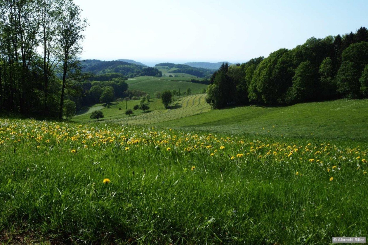 Umzugsunternehmen Abtsteinach