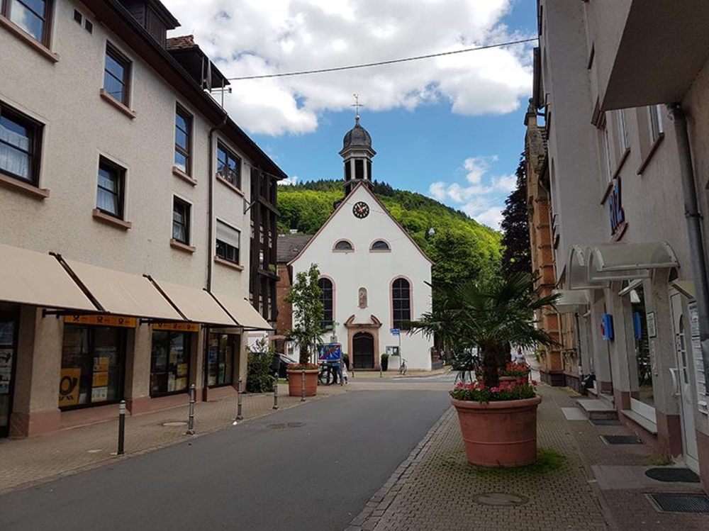 Umzugsunternehmen Heidelberg Ziegelhausen