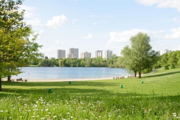 Umzugsunternehmen Mannheim Vogelstang