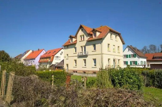 Umzugsunternehmen Meckesheim1