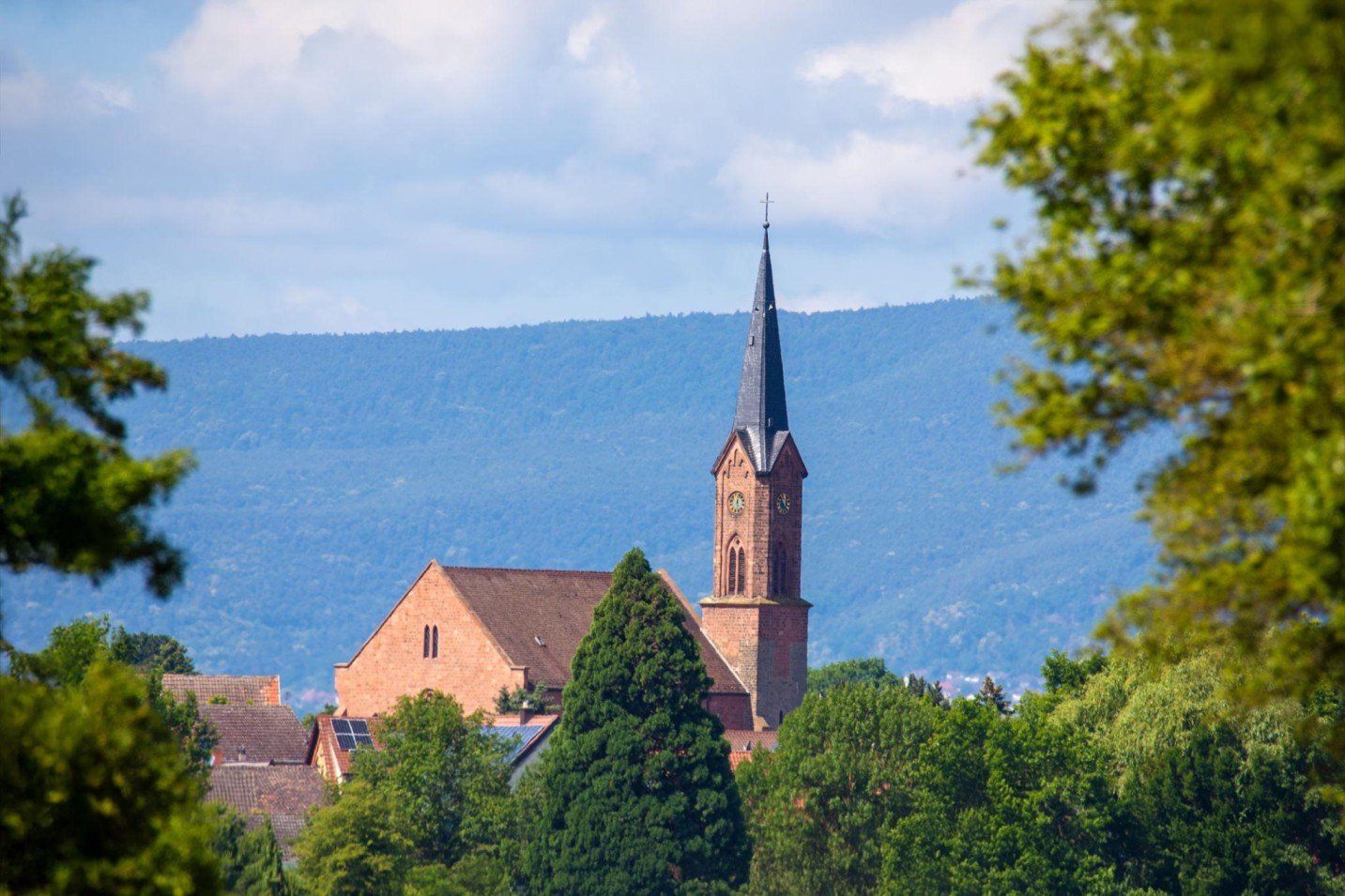 Umzugsunternehmen Dannstadt Schauernheim