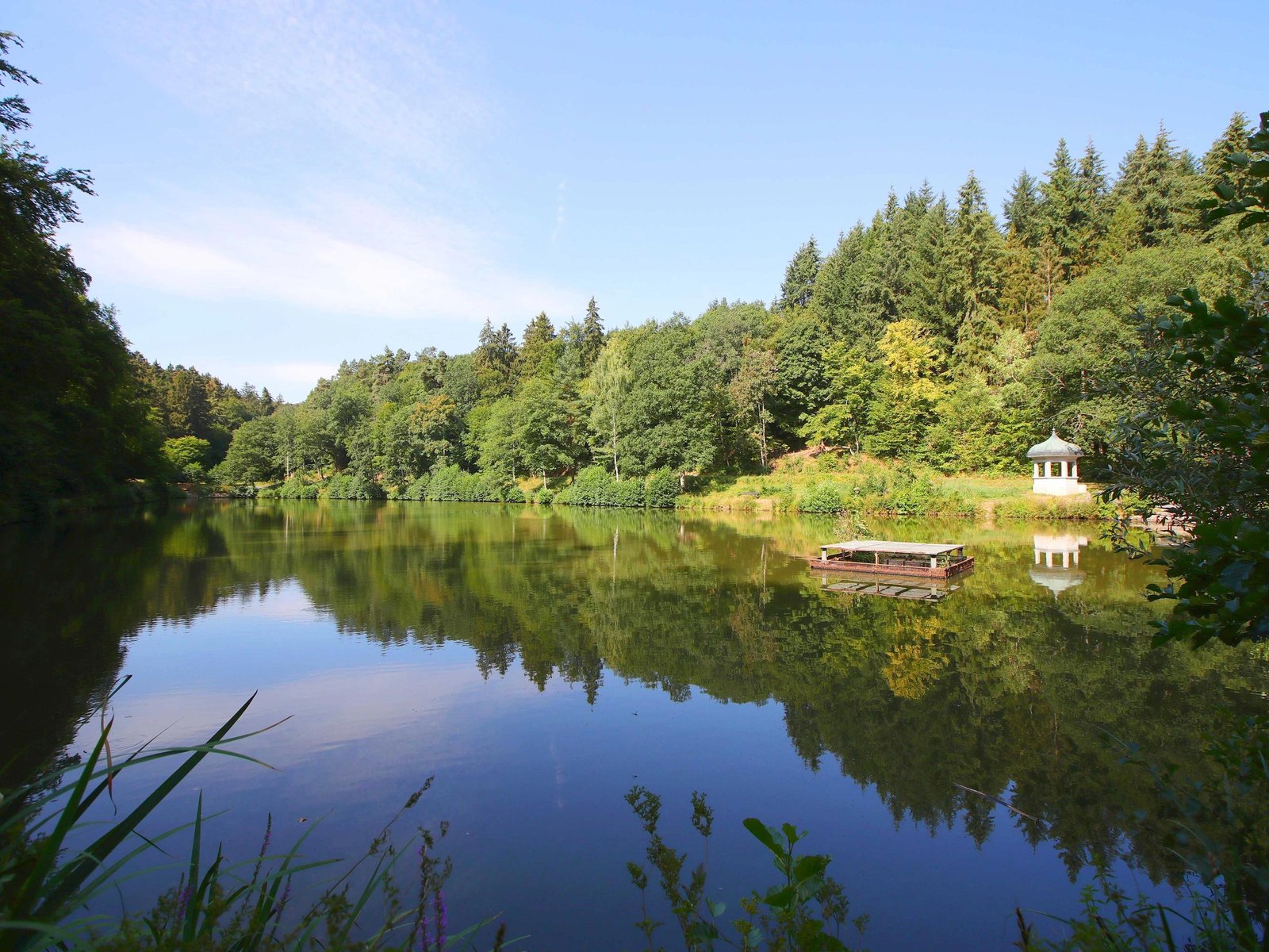 Umzugsunternehmen Waldsee
