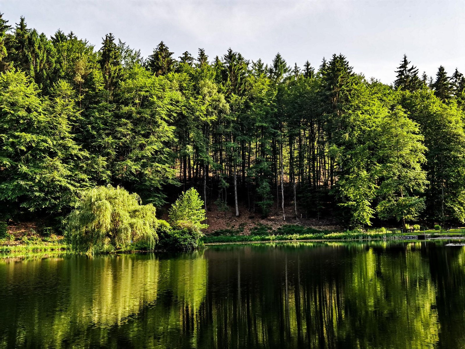 Umzugsunternehmen Waldsee