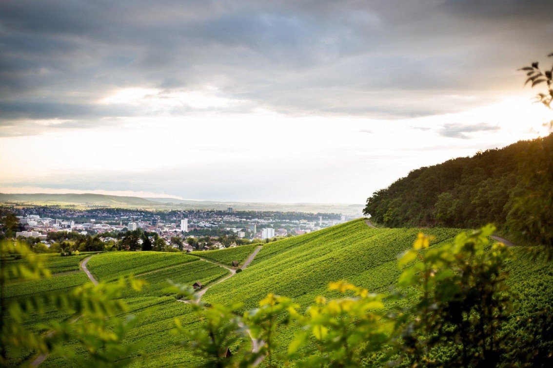 umzugsunternehmen Heilbronn Sontheim