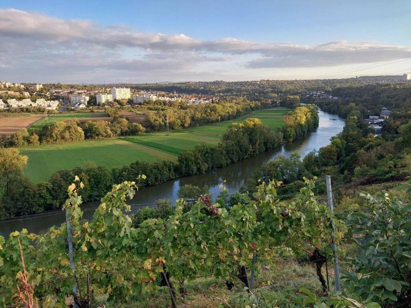 Umzugsunternehmen Freiberg am Neckar