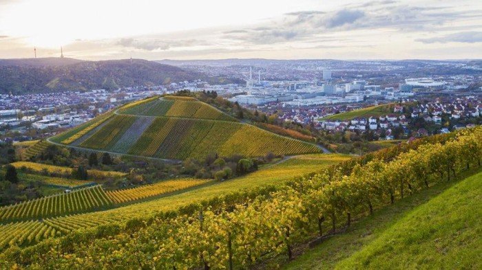 Umzugsunternehmen Stuttgart Untertürkheim