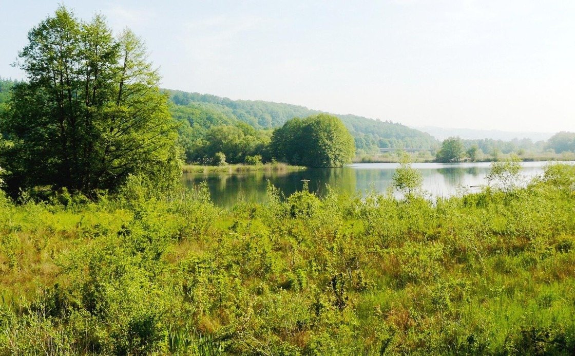 umzugsunternehmen Wernau (Neckar)