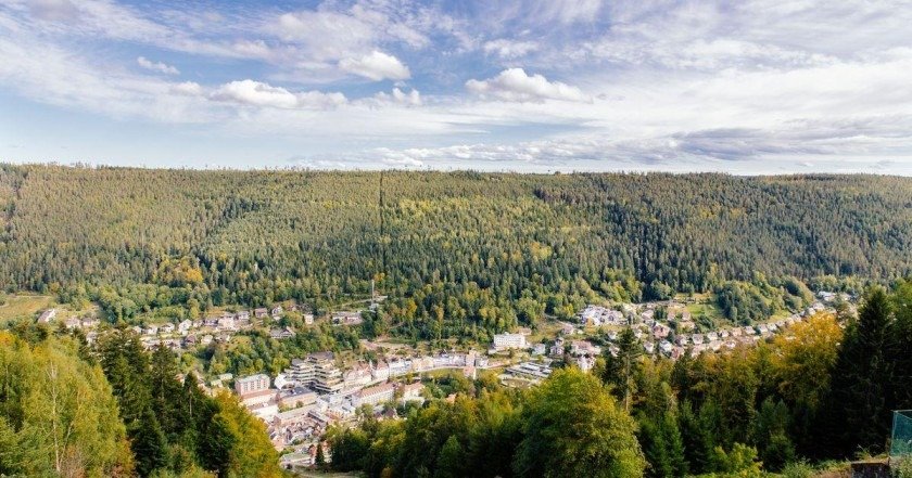 Umzugsunternehmen Bad Wildbad