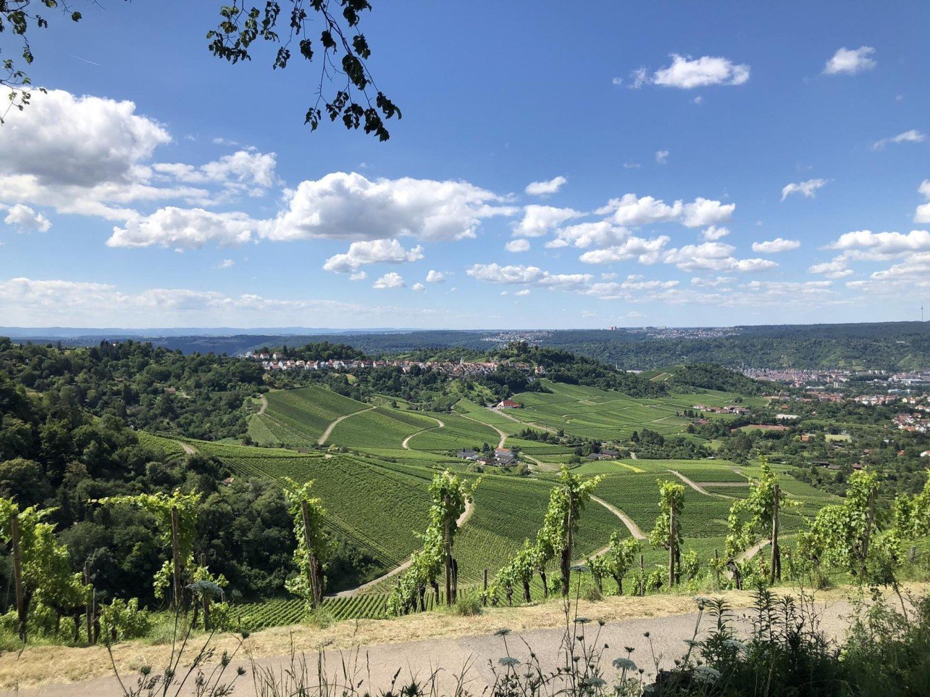 Umzugsunternehmen Remseck am Neckar1