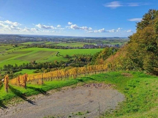 umzugsunternehmen Winnenden